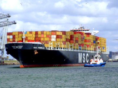 MSC Pamela p08, at the Amazone harbour, Port of Rotterdam, Holland 29-Jul-2007