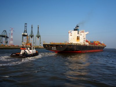 MSC Itea - IMO 9157698, Port of Antwerp pic 6