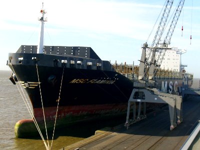 MSC Flaminia 2012-03-25