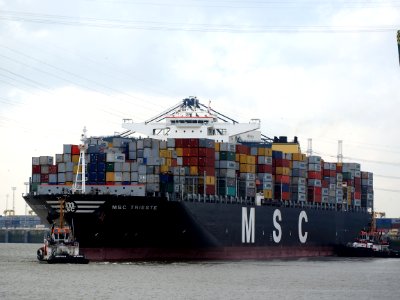 MSC Trieste (ship, 2011) IMO 948447 Schelde Port of Antwerp pic2