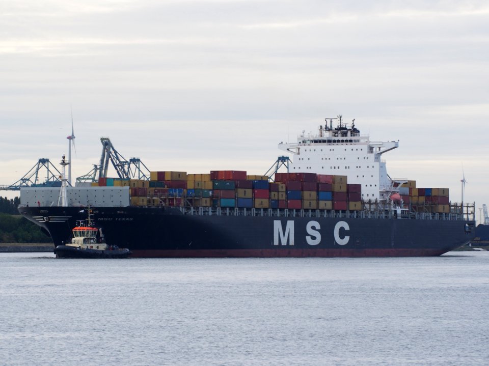 MSC Texas - IMO 9286243 - Callsign DCSY2 at sunrise, Port of Antwerp pic 1