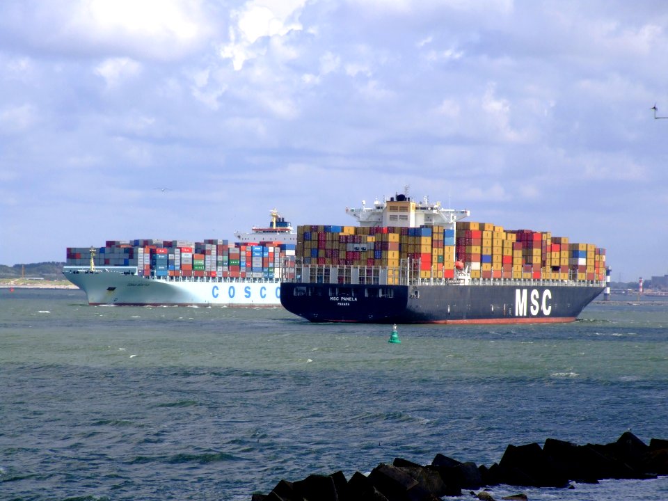 MSC Pamela & Cosco Seattle pic2 at Prot of Rotterdam, Holland 29-Jul-2007