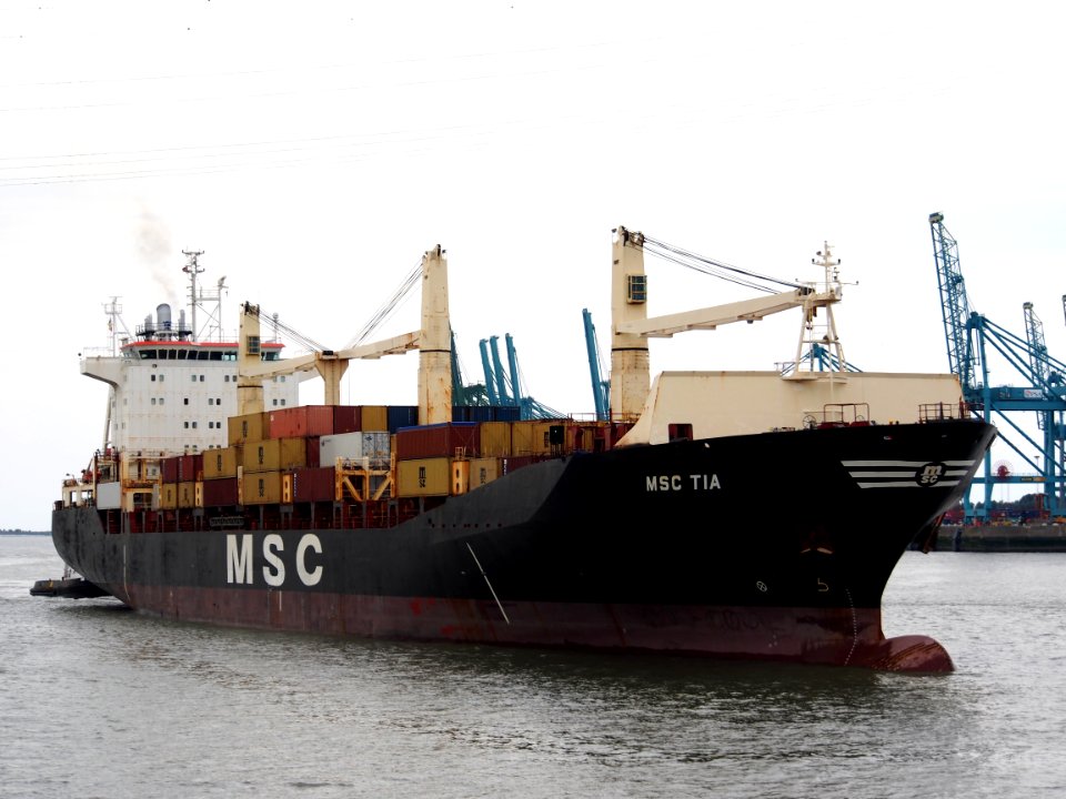 MSC Tia - IMO 9193680, Berendrechtsluis, Port of Antwerp pic3