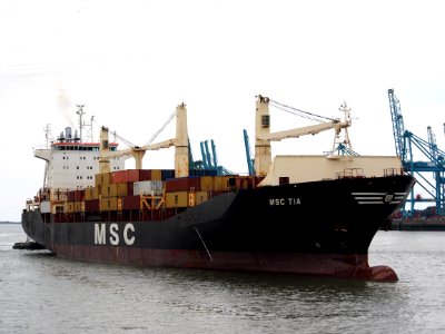 MSC Tia - IMO 9193680, Berendrechtsluis, Port of Antwerp pic3