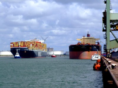 MSC Pamela p06, at the Amazone harbour, Port of Rotterdam, Holland 29-Jul-2007