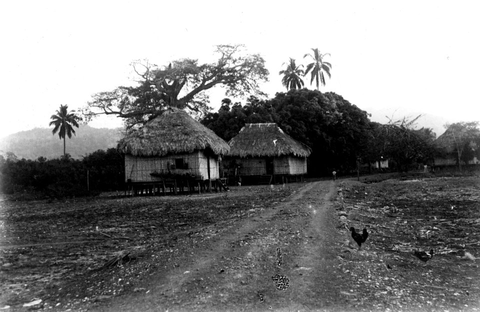Nära fyndplatsen San Antonio i utkanten av byn Garachiné. Pacifiksidan. Garachiné. Panama - SMVK - 003430