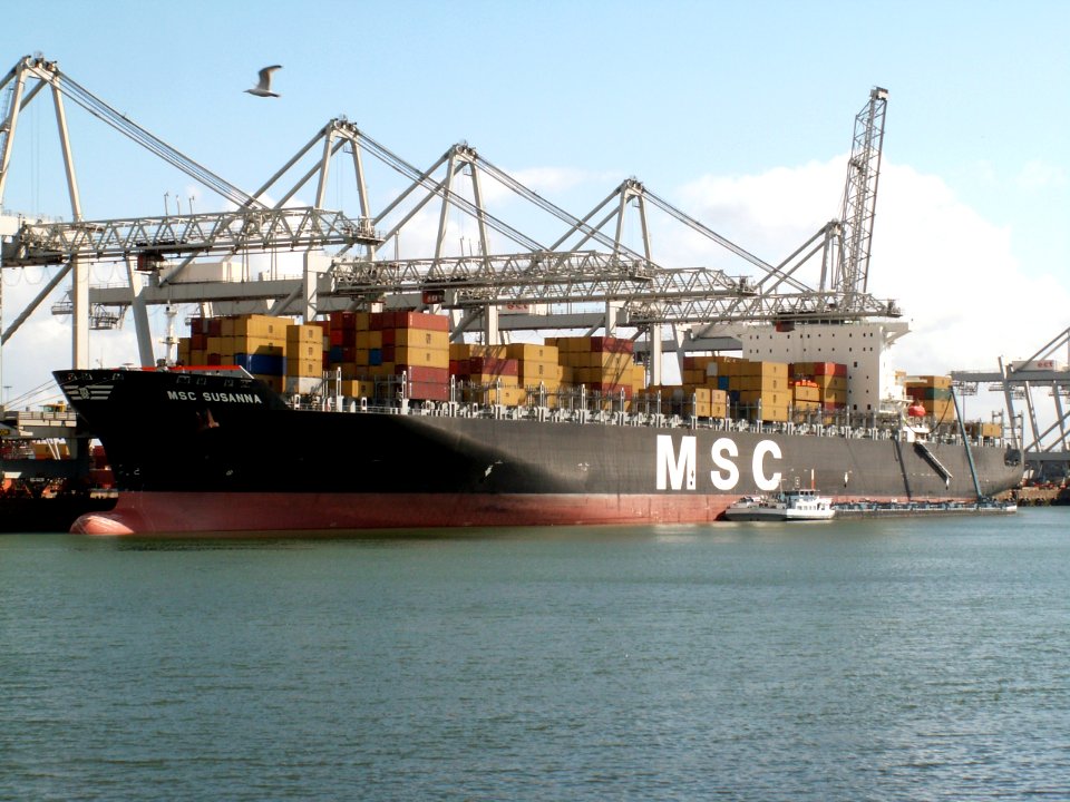 MSC Susanna p2, at the Amazone harbour, Port of Rotterdam, Holland 29-Apr-2006