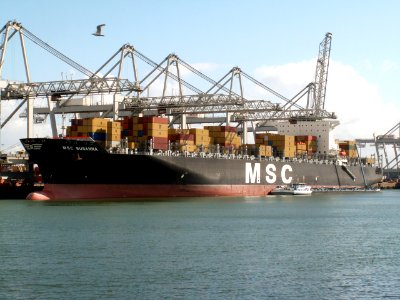 MSC Susanna p2, at the Amazone harbour, Port of Rotterdam, Holland 29-Apr-2006