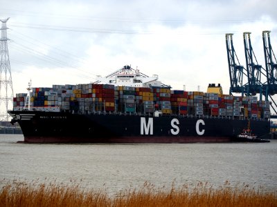 MSC Trieste (ship, 2011) IMO 948447 Schelde Port of Antwerp pic1
