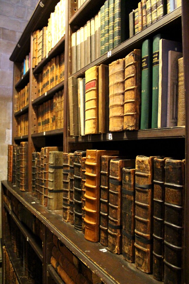 Education literature reading
