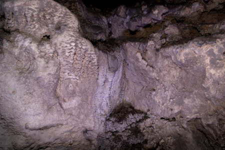Nördliche Steinberghöhle (A 204) 34