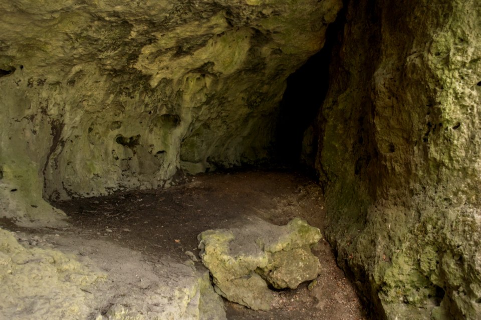 Nördliche Steinberghöhle (A 204) 45