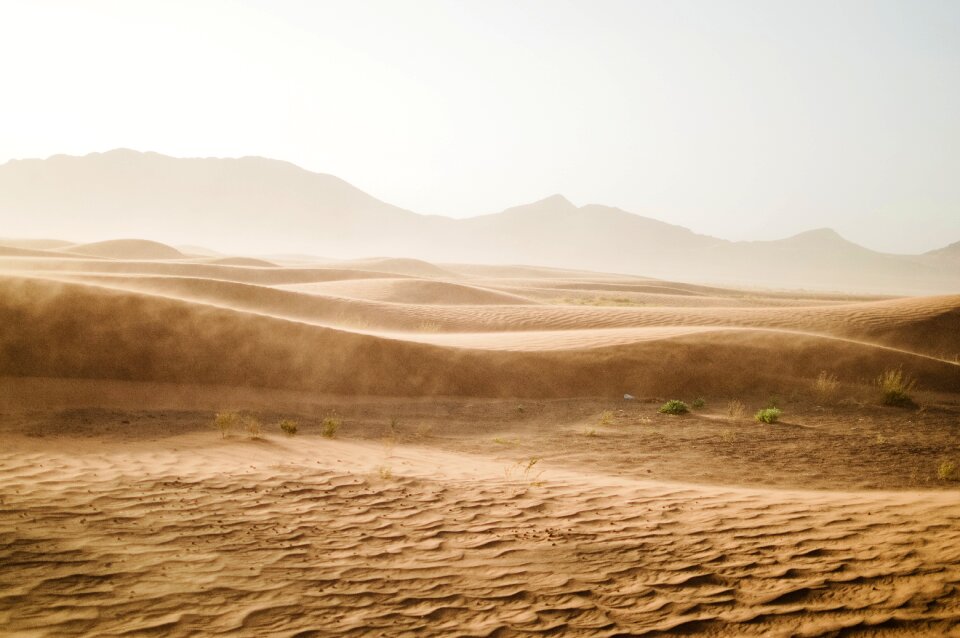 Sahara gobi dry photo