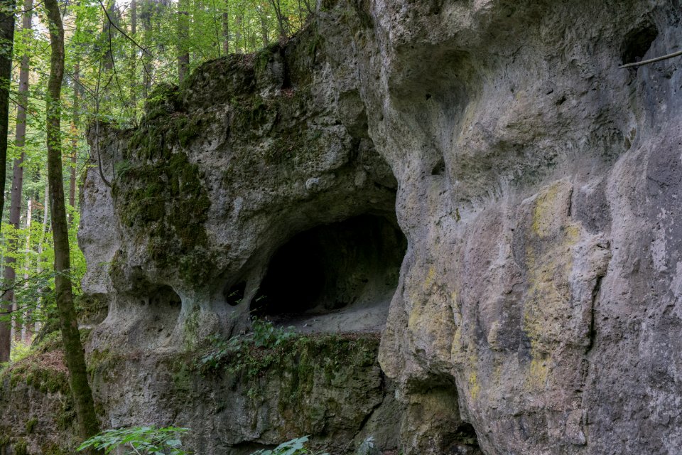Nördliche Steinberghöhle (A 204) 03