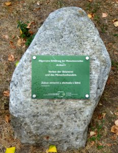 Nürnberg, Stein Artikel 4 Menschenrechte, 1