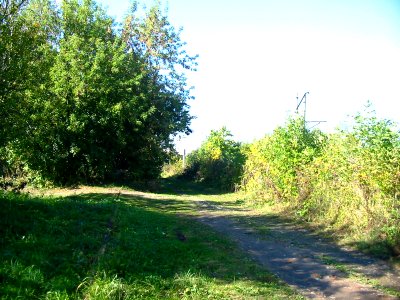 Mytishi-Pirogovo railway line 2007 (07)