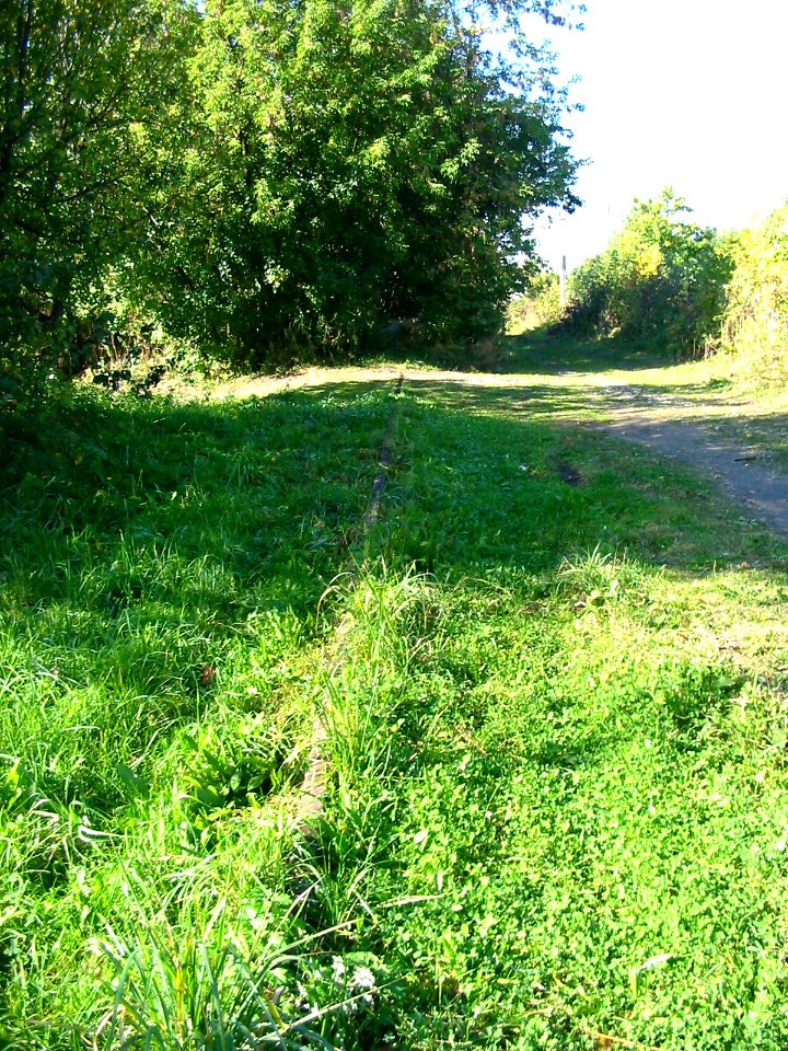 Mytishi-Pirogovo railway line 2006 (06)