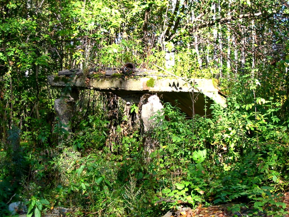 Mytishi-Pirogovo railway line 3131 (31)