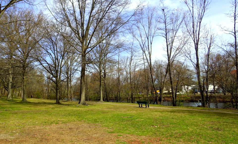 Mystic River Reservation - Arlington, MA - DSC00752