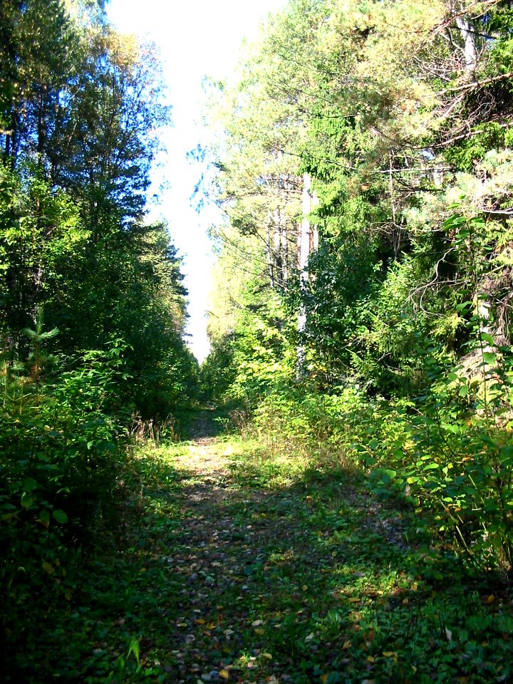 Mytishi-Pirogovo railway line 3838 (38)
