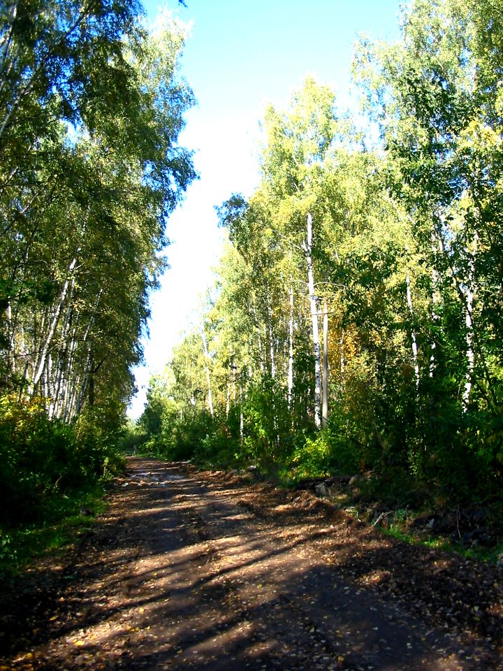Mytishi-Pirogovo railway line 3333 (33)