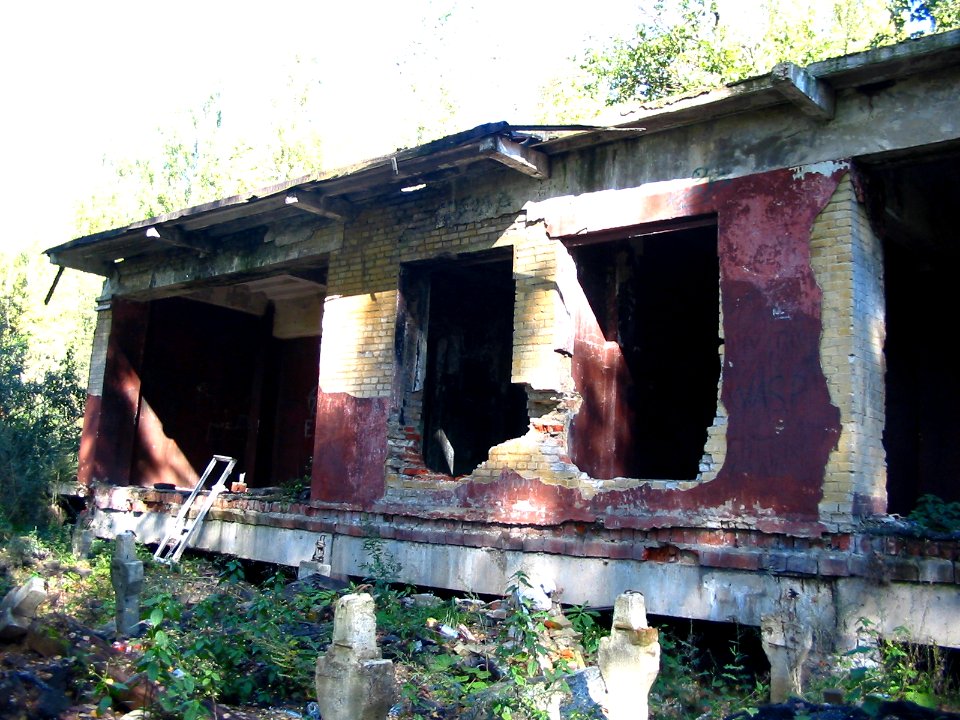 Mytishi-Pirogovo railway line 2727 (27)