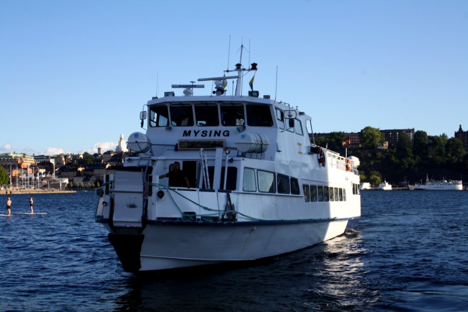 Mysing på Klara Mälarstrand augusti 2016- 1