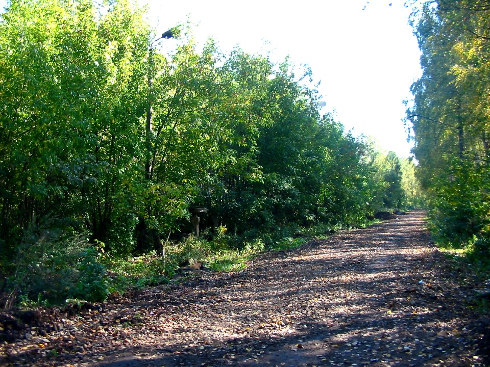 Mytishi-Pirogovo railway line 2121 (21)