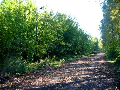 Mytishi-Pirogovo railway line 2121 (21)