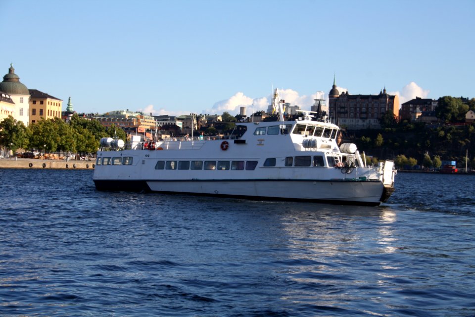 Mysing på Klara Mälarstrand augusti 2016 - 3