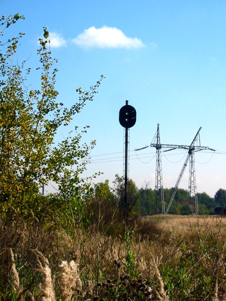 Mytishi-Pirogovo railway line 2019 (19)