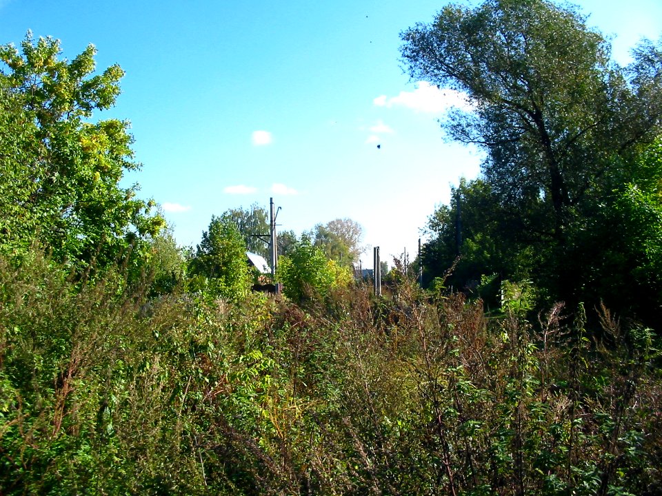 Mytishi-Pirogovo railway line 2004 (03)