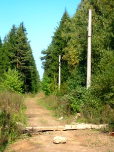 Mytishi-Pirogovo railway line 4646 (46)