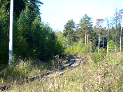 Mytishi-Pirogovo railway line 5252 (52)