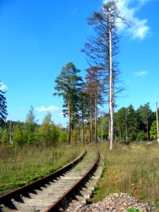 Mytishi-Pirogovo railway line 4949 (49)