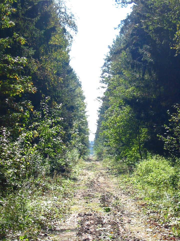 Mytishi-Pirogovo railway line 4444 (44)