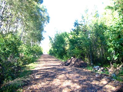 Mytishi-Pirogovo railway line 2626 (26)