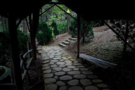 Mystic View From The Garden House In The Park (260312245)