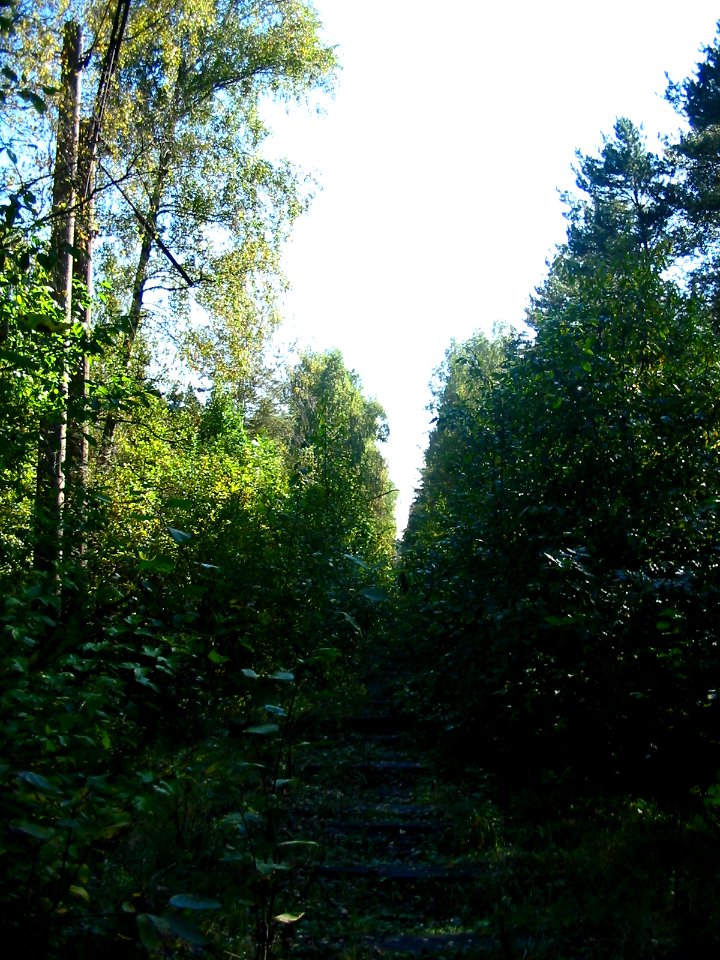 Mytishi-Pirogovo railway line 3636 (36)
