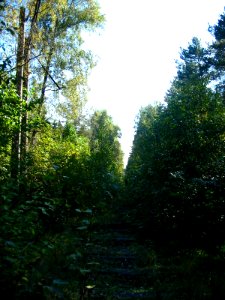 Mytishi-Pirogovo railway line 3636 (36)