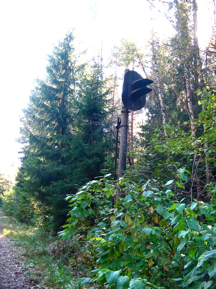 Mytishi-Pirogovo railway line 3939 (39)