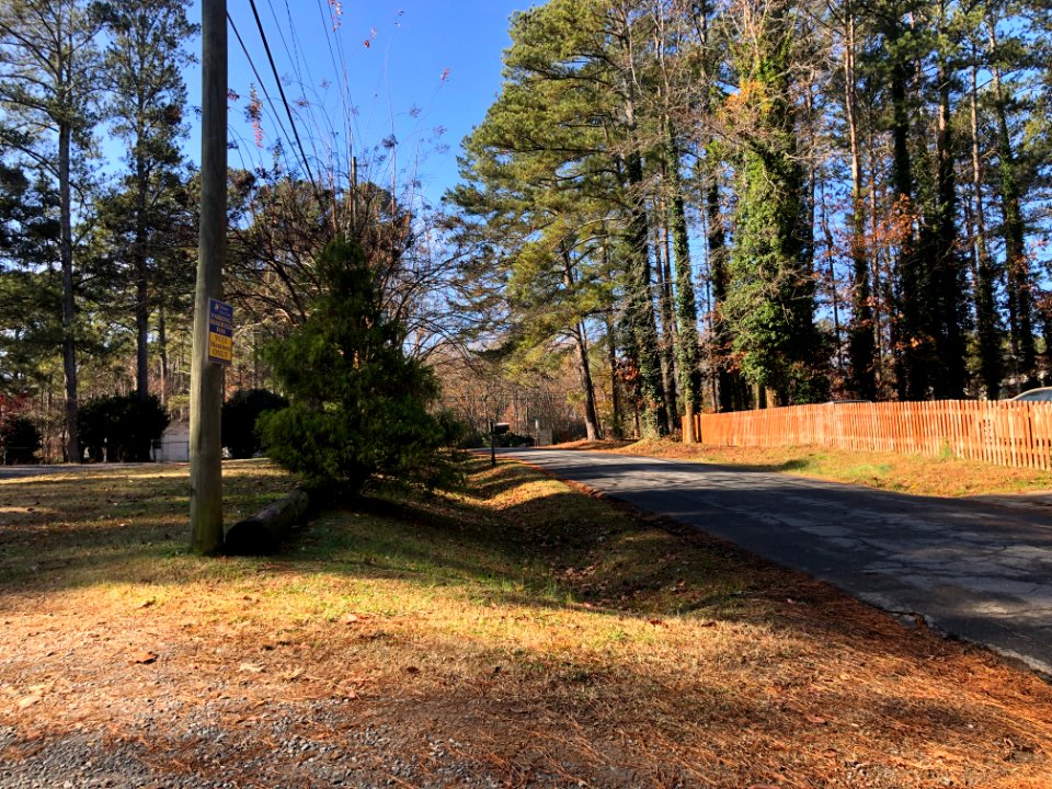 Myrtle Road, Victoria, GA Dec 2020