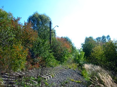 Mytishi-Pirogovo railway line 1010 (10)