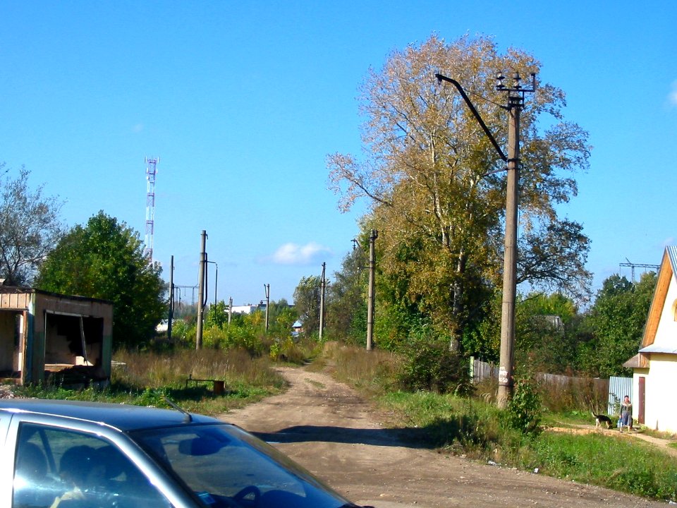 Mytishi-Pirogovo railway line 2016 (16)