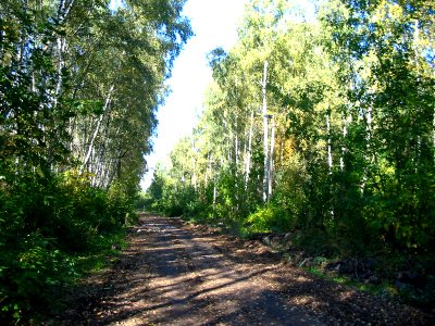 Mytishi-Pirogovo railway line 3232 (32)