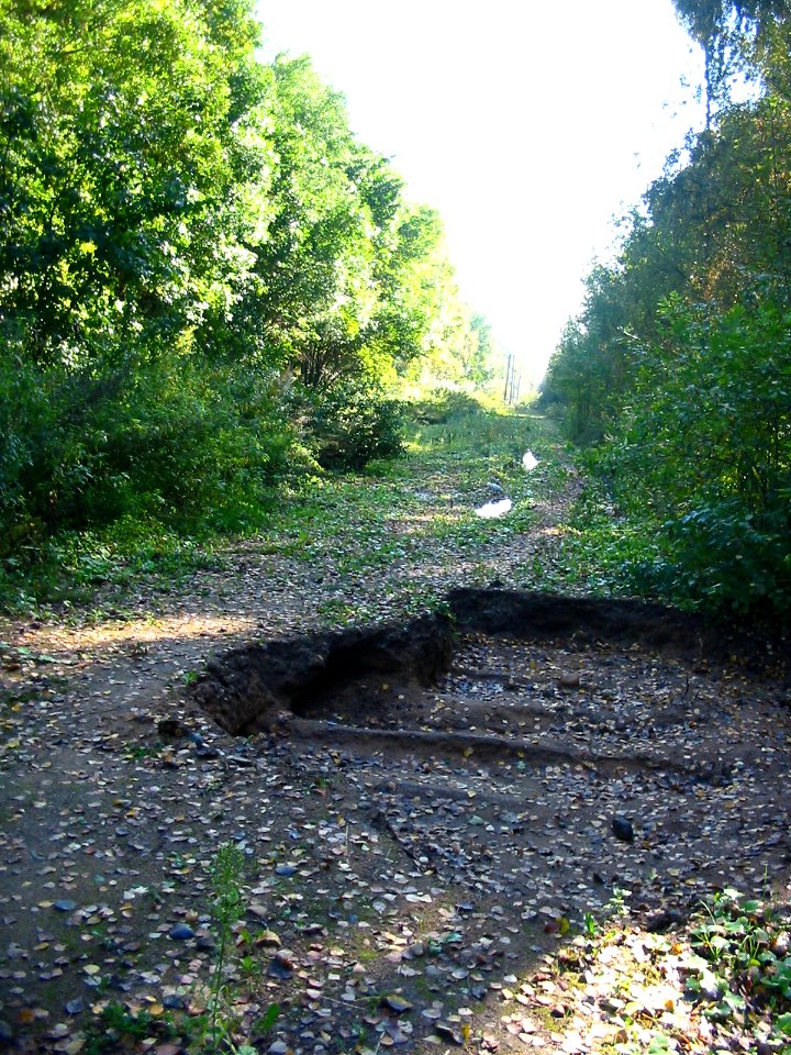 Mytishi-Pirogovo railway line 3434 (34)
