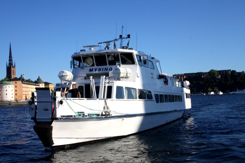 Mysing på Klara Mälarstrand augusti 2016- 2