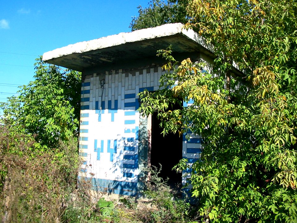 Mytishi-Pirogovo railway line 1616 (16)
