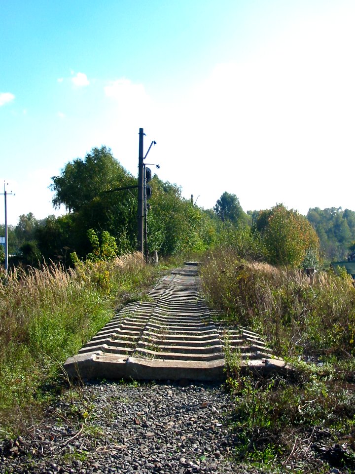 Mytishi-Pirogovo railway line 0606 (06)