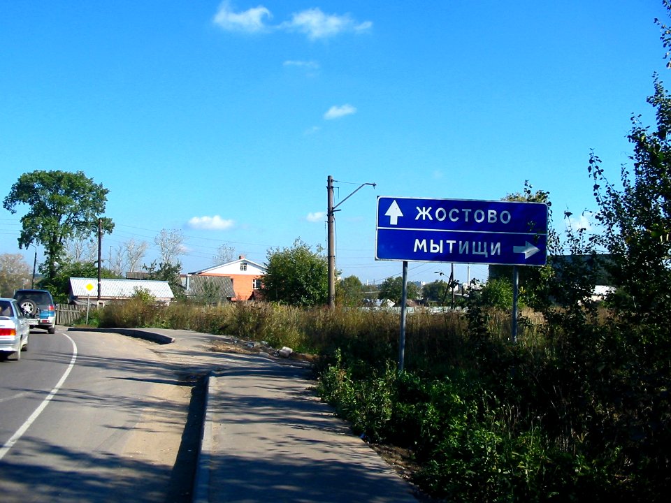 Mytishi-Pirogovo railway line 2015 (15)